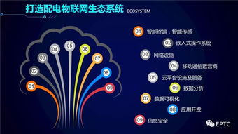 配電物聯網技術發展構想 網絡技術開發新藍圖